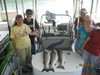 (08/05/2016) - Nice Striped Bass